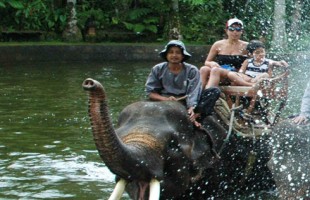 Ayung Rafting and Elephant Safari Ride