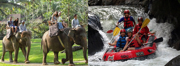 bali rafting and elephant safari ride