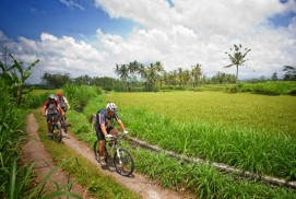 Bali Cycling Tour