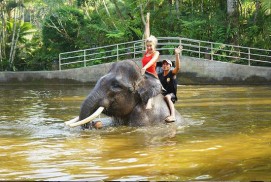 Telaga Waja Rafting and Elephant Safari Ride