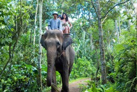 Bali Elephant Ride