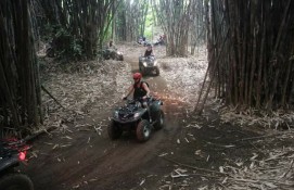 Ubud  ATV Adventure