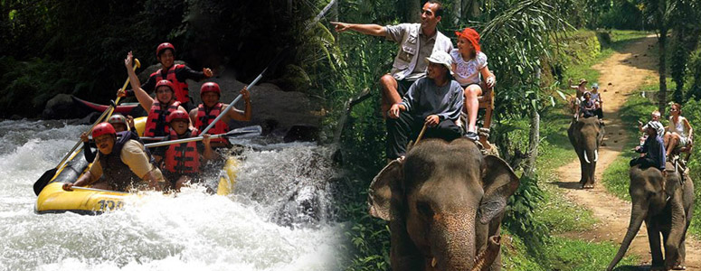 ayung rafting and bali elephant ride