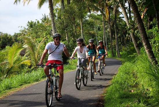 Bali Downhill Cycling Tour