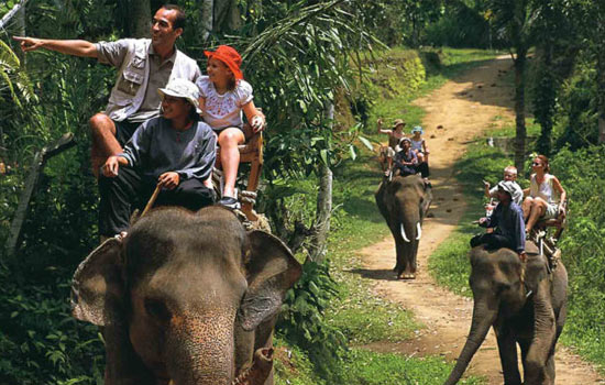 Wisata Naik Gajah