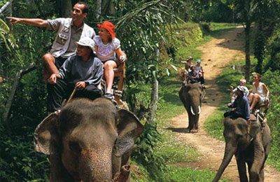 elephant safari ride bali