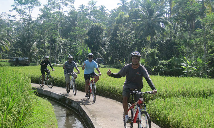 ubud village cycling tour
